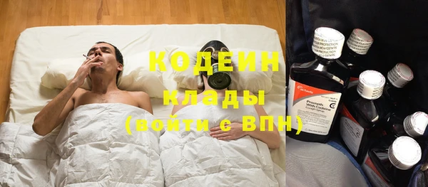 ГАЛЛЮЦИНОГЕННЫЕ ГРИБЫ Аркадак