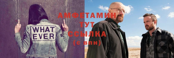 ГАЛЛЮЦИНОГЕННЫЕ ГРИБЫ Аркадак