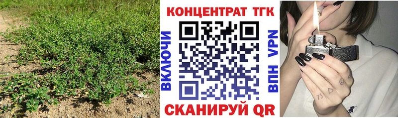 ТГК THC oil  где купить наркотик  Белебей 