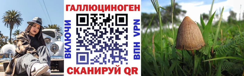 даркнет формула Белебей Псилоцибиновые грибы GOLDEN TEACHER что такое