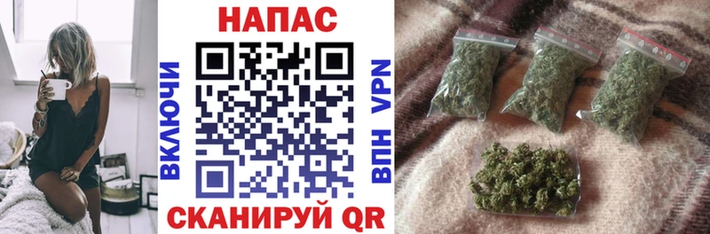 Бошки марихуана план  купить   Белебей 